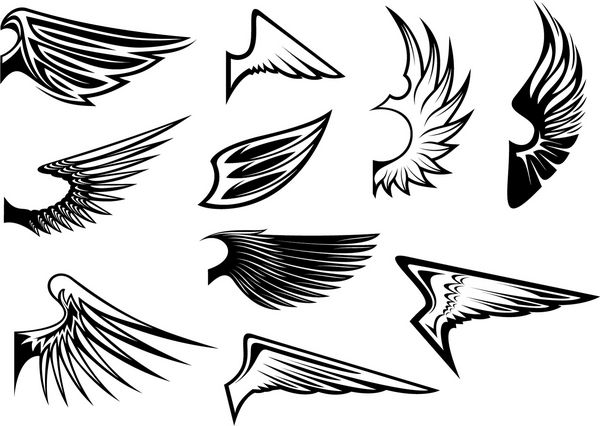 مجموعه ای از بال های پرنده برای هرالدریک یا طراحی نشان نسخه jpeg نیز در گالری موجود است