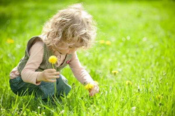 کودک زیبا در چمنزار سبز بهاری گل می چیند