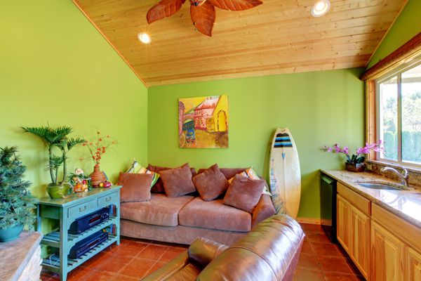 اتاق نشیمن استخر ساحل سبز در خانه کوچک با سینک و مبل