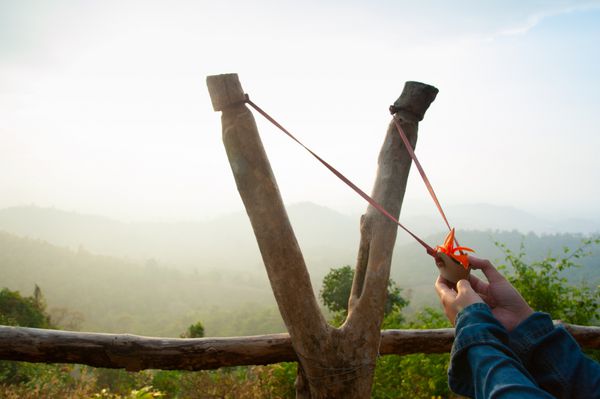 زنجیر کشیدن دست در حال آماده شدن برای بردن دانه درخت به جنگل