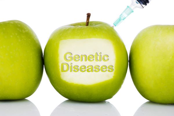 متن بیماری های ژنتیکی روی سیب سبز با سرنگ تزریق شده روی آن پس زمینه سفید جدا شده - مفهومی برای غذاهای اصلاح شده ژنتیکی برای رژیم غذایی سلامت آینده علم شیمی پزشکی و مردم