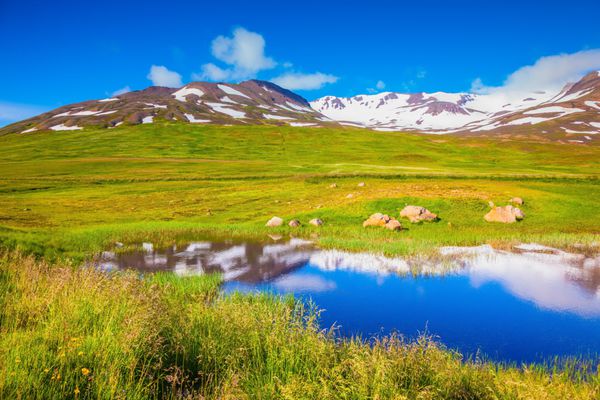 ایسلند تابستانی آب دریاچه آبی تپه های برفی را منعکس می کند مزارع پر از علف سبز تازه