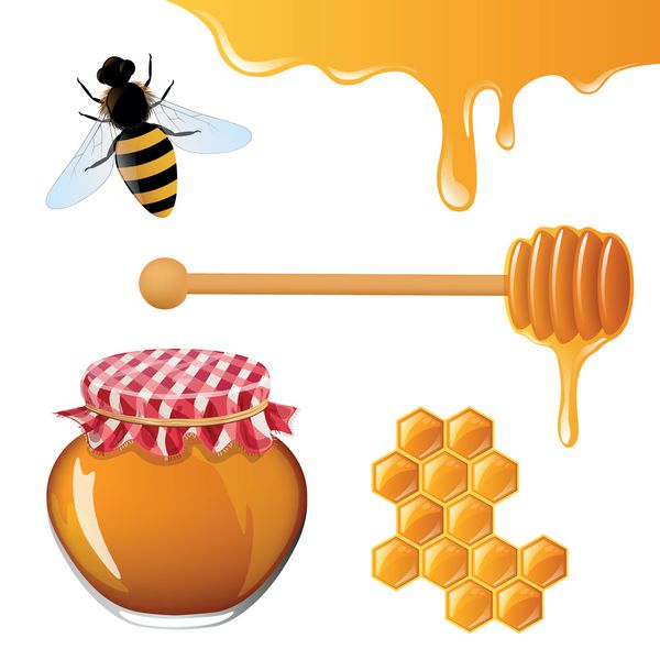 وکتور از عناصر عسل