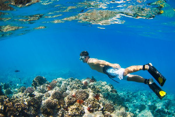 مرد جوانی در حال غواصی در زیر آب بر فراز صخره های استوایی در هاوایی