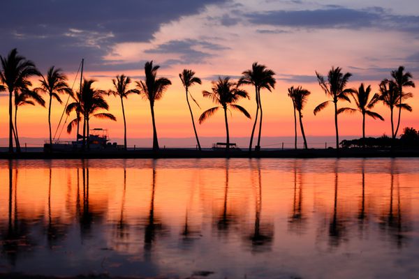 غروب یا طلوع خورشید ساحل بهشت با درختان نخل گرمسیری سفر تابستانی تعطیلات تعطیلات گریز مفهوم رنگارنگ po از آب اقیانوس دریا در جزیره بزرگ هاوایی ایالات متحده آمریکا