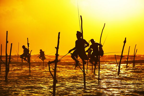 تصاویری از ماهیگیران سنتی در غروب خورشید در نزدیکی گال در سریلانکا