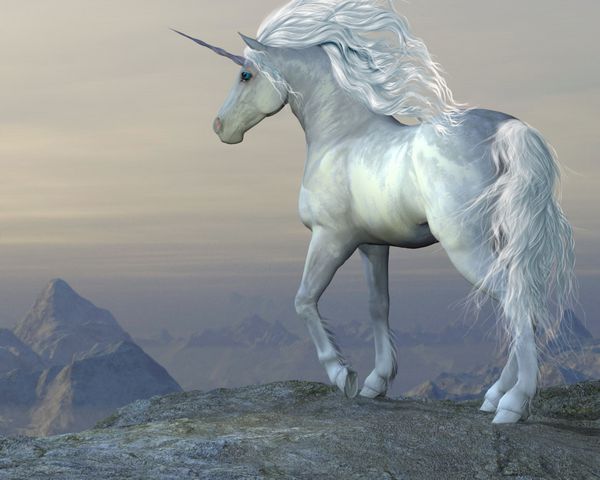 بلوف تک شاخ - یک اسب نر اسب شاخدار سفید از یک صخره کوهستانی به قلمرو وسیع خود نگاه می کند