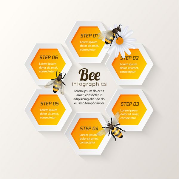 وکتور اینفوگرافیک مراحل شش ضلعی زنبور عسل روی دیزی و شانه پس زمینه