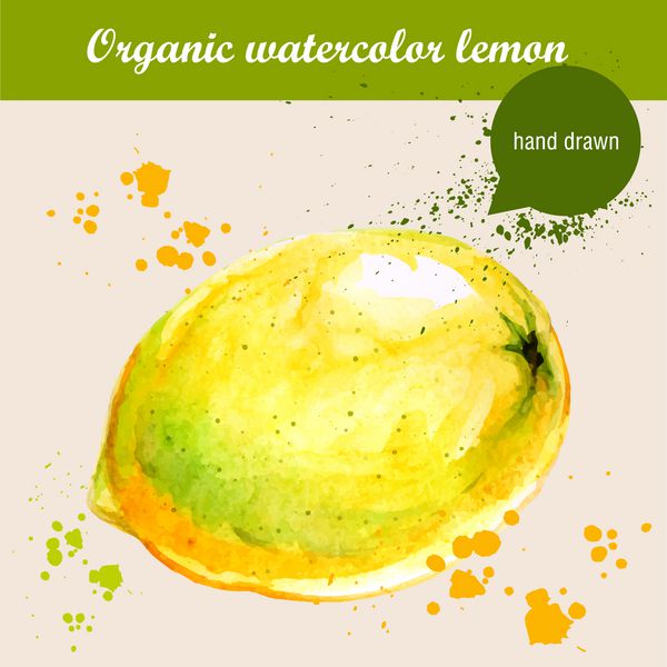 وکتور آبرنگ دستی لیمو ترش با قطره های آبرنگ تصویر مواد غذایی ارگانیک