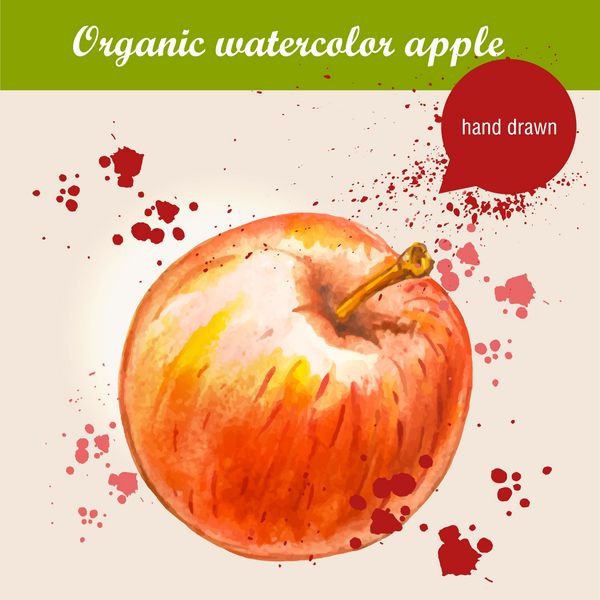 وکتور آبرنگ با دست کشیده شده سیب قرمز رسیده با قطره های آبرنگ تصویر مواد غذایی ارگانیک