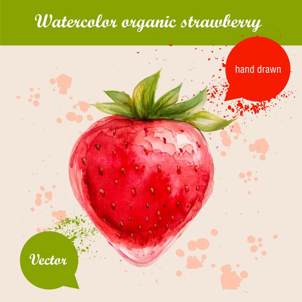 وکتور آبرنگ دستی توت فرنگی قرمز با قطره های آبرنگ تصویر مواد غذایی ارگانیک