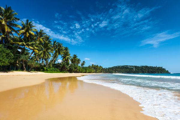 پس زمینه تعطیلات گرمسیری - ساحل بت بهشت سری لانکا