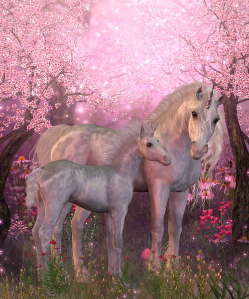 مادیان اسب تکشاخ سفید و کره اسب - بهار مادیان اسب شاخدار سفید و کره اسب را در زیر درختان شکوفه گیلاس می بیند