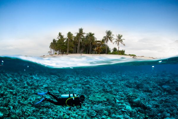 غواص غواصی در زیر جزیره نارگیل بالی لومبوک سولاوسی اندونزی زیر آب بالی لومبوک