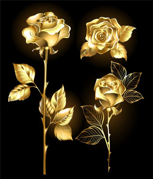 مجموعه ای از طلا گل رز درخشان در پس زمینه سیاه