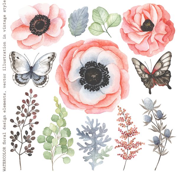 مجموعه ای از شاخه های گل آبرنگ گل ها و پروانه ها به سبک وینتیج