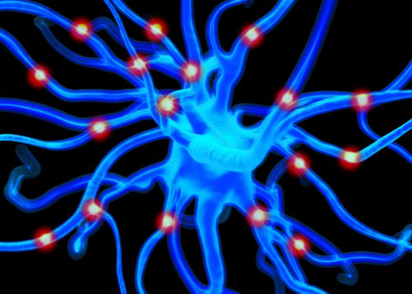 سلول های عصبی یا عصبی که بخشی از سیستم عصبی را تشکیل می دهند که اطلاعات را با سیگنال های الکتریکی و شیمیایی پردازش و انتقال می دهند