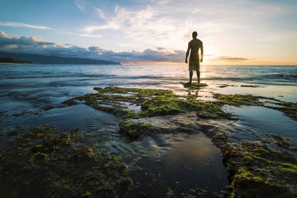 مردی که شورت موج سواری پوشیده است که در لبه صخره ای کم عمق ایستاده و با غروب خورشید به اقیانوس نگاه می کند استخرهای جزر و مد و جلبک دریایی سبز در پیش زمینه با آب روان