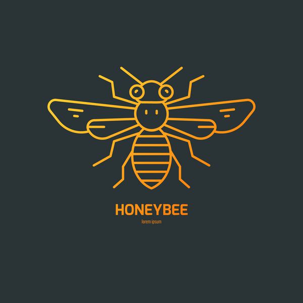 وکتور آرم خط با زنبور عسل نماد نام تجاری عالی برای شرکت طبیعی محصول زیستی آسان برای استفاده