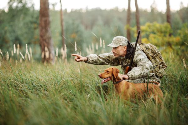 شکارچی با تفنگ و سگ در جنگل