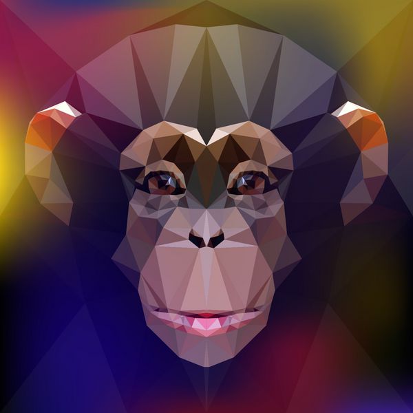 شامپانزه f از یک میمون نماد سال جدید 2016