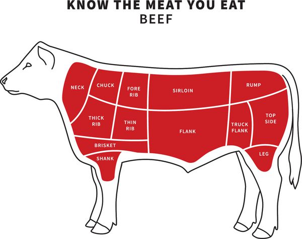 تکه های آمریکایی گوشت گاو برای استیک و کباب بریدگی دنده پهلو p گردن جوجه و ساق پا وکتور جدا شده در پس زمینه سفید