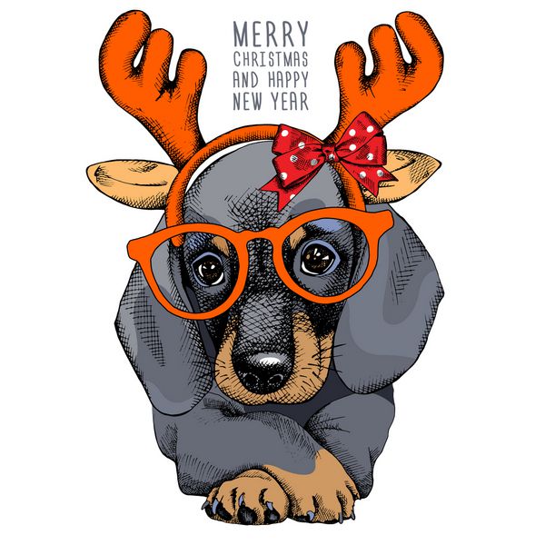 پوستر کریسمس با پرتره سگ داشوند در ماسک گوزن شمالی شاخ بابا نوئل و عینک وکتور