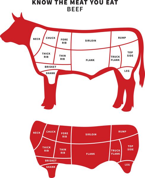 نمودار برش گوشت گاو قرمز برای کباب و استیک وکتور