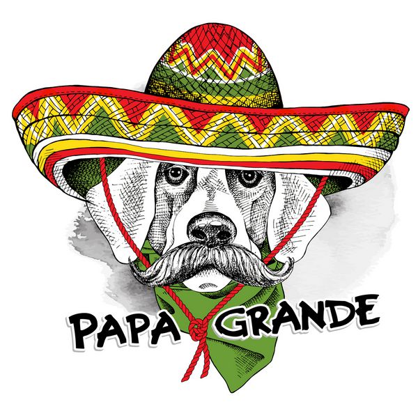 سگ با سبیل در مکزیک سومبررو و کراوات برچسب متن در اسپانیایی پدر بزرگ است وکتور