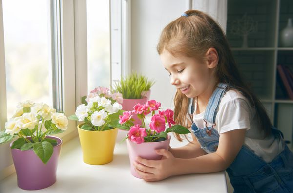 دختر بچه ناز گل ها را در گلدان روی پنجره می گذارد