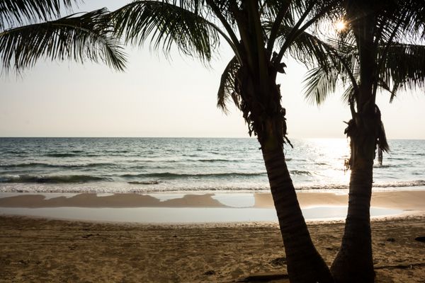 ساحل درخت نارگیل و غروب خورشید در ساحل چائو لائو چانتابوری تی