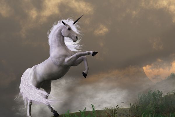 زمین نادر - گوزن اسب تکشاخ قدرت خود را بر روی تپه ای پوشیده از ابرها نشان می دهد