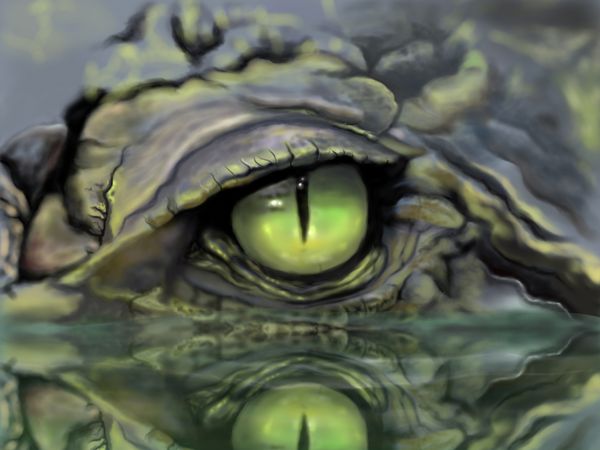 نقاشی چشم کروکودیل