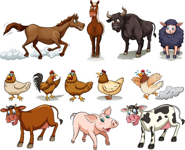 انواع مختلف حیوانات مزرعه