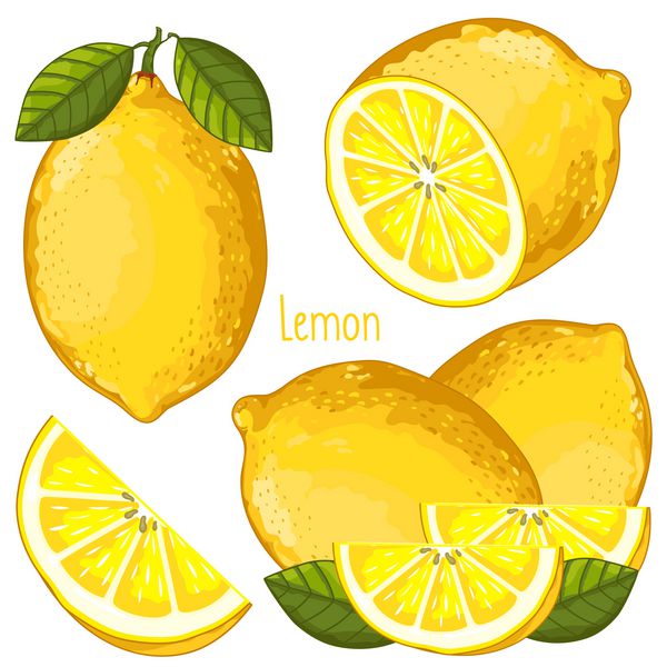 لیمو جدا شده وکتور