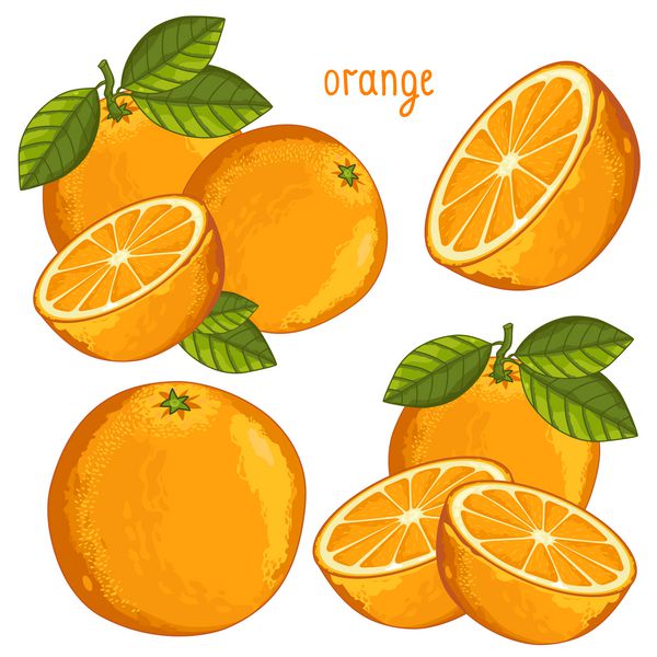 نارنجی جدا شده وکتور