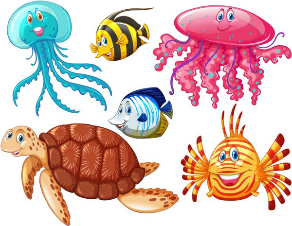 انواع حیوانات دریایی