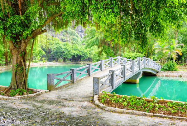 پل روی کانال با آب نیلگون در باغ گرمسیری ویتنام