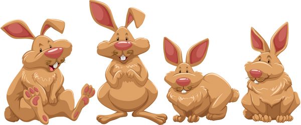 چهار خرگوش با خز قهوه ای