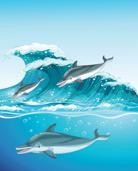 سه دلفین در حال شنا در اقیانوس