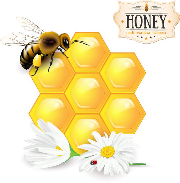 برچسب زنبور عسل لانه زنبوری بابونه و عسل