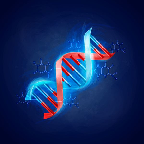 DNA