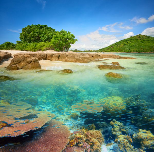 جزیره گرمسیری کوچک با صخره مرجانی