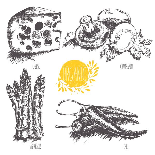 سری - وکتور میوه سبزیجات و ادویه جات تصویر دستی به سبک قدیمی طرح غذای سالم گرافیک خطی مجموعه ای از پنیر مارچوبه قارچ فلفل قرمز
