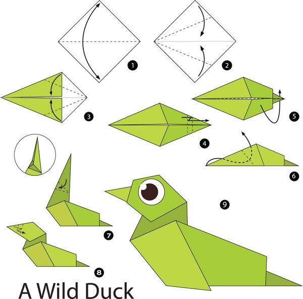 آموزش گام به گام ساخت اوریگامی اردک وحشی