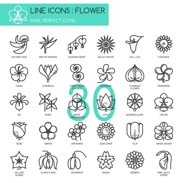 گل مجموعه آیکون های خط نازک نمادهای پیکسل کامل