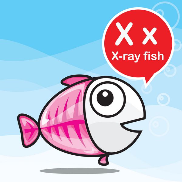 کارتون و الفبای رنگ ماهی با اشعه ایکس برای یادگیری کودکان