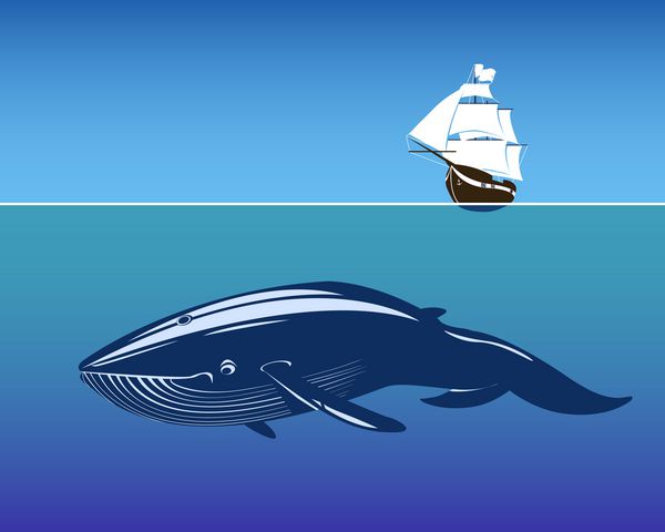 کشتی بادبانی و نهنگ بزرگ در اعماق