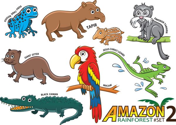 مجموعه ای از حیوانات و پرندگان کارتونی زیبا در مناطق آمازون سو