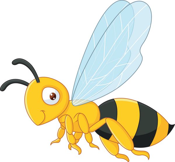 پرواز کارتونی زنبور عسل